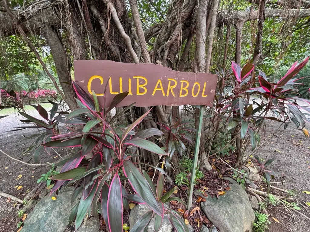 042e34de 073f 4a4a baa2 61744e581068.jpg