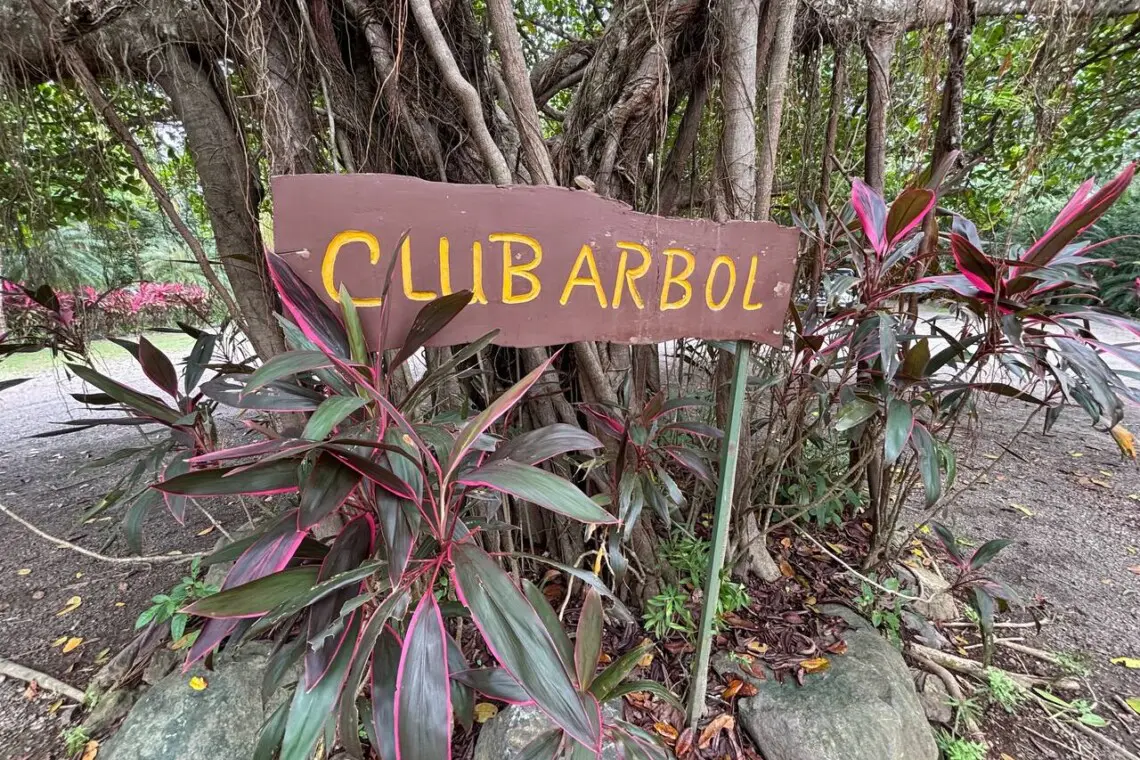 042e34de 073f 4a4a baa2 61744e581068.jpg