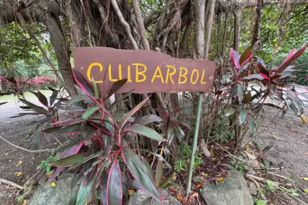 042e34de 073f 4a4a baa2 61744e581068.jpg