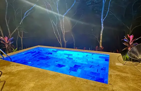 27e3bd16 3b18 42ea aeec 57919a59a75e.jpg