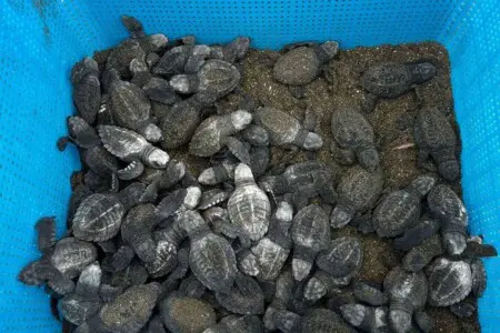 2901f444 36e2 4fff 9b7b f3b2a36ae088.jpg