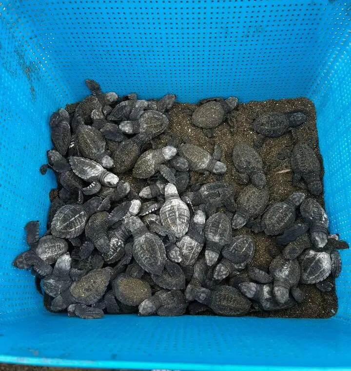 2901f444 36e2 4fff 9b7b f3b2a36ae088.jpg