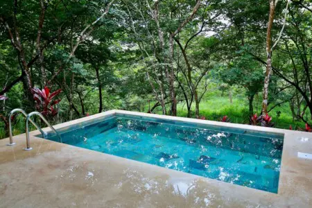 2adad2e1 d03c 4208 a663 df06c95feb2e.jpg