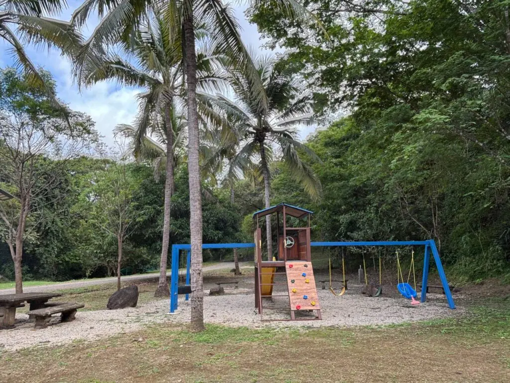 44a195be c314 477b 9487 e9c3c5e0ba3f.jpg