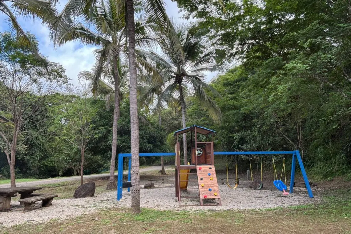 44a195be c314 477b 9487 e9c3c5e0ba3f.jpg