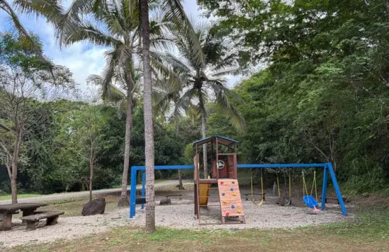 44a195be c314 477b 9487 e9c3c5e0ba3f.jpg