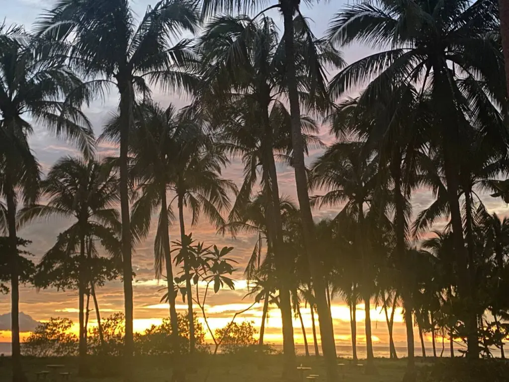 5188f780 c70d 45e5 86f9 ec80f0360a51.jpg