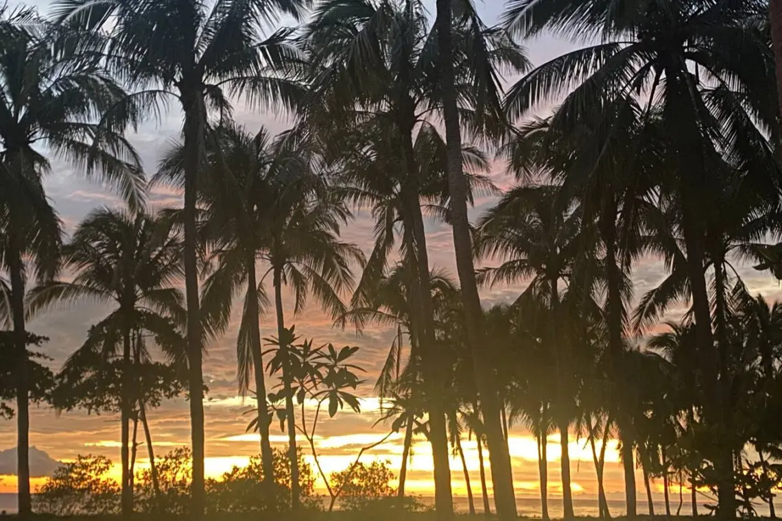 5188f780 c70d 45e5 86f9 ec80f0360a51.jpg