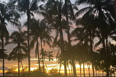 5188f780 c70d 45e5 86f9 ec80f0360a51.jpg