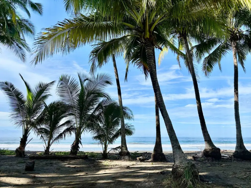 6b800ba0 346a 4f84 9537 02b89de30006.jpg