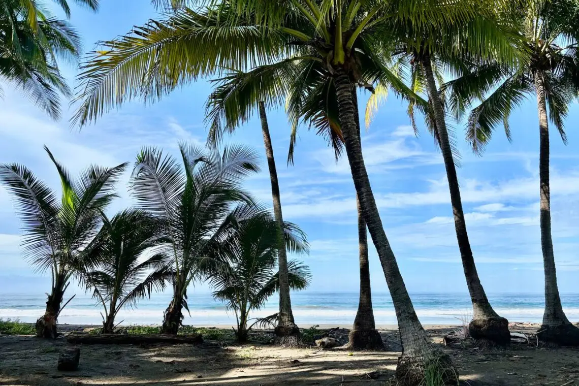 6b800ba0 346a 4f84 9537 02b89de30006.jpg