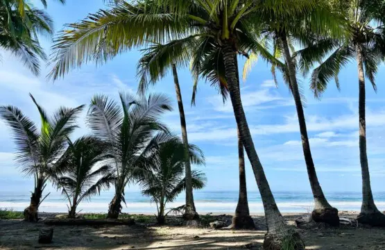 6b800ba0 346a 4f84 9537 02b89de30006.jpg