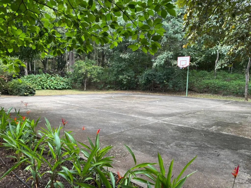 860c2c2d 624f 4f25 9e9d c7d567b2863d.jpg