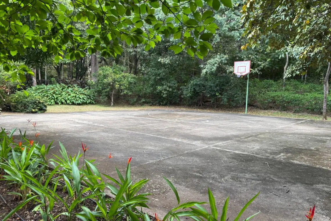 860c2c2d 624f 4f25 9e9d c7d567b2863d.jpg