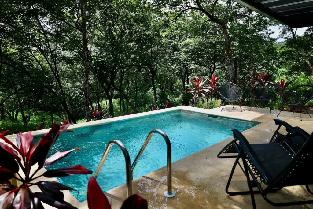 8f8b883c af3a 4b43 9b40 bf5b9d5ae649.jpg