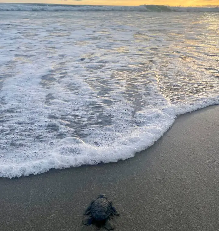 96ccea0f 1617 4c41 b680 d7f3fc092293.jpg