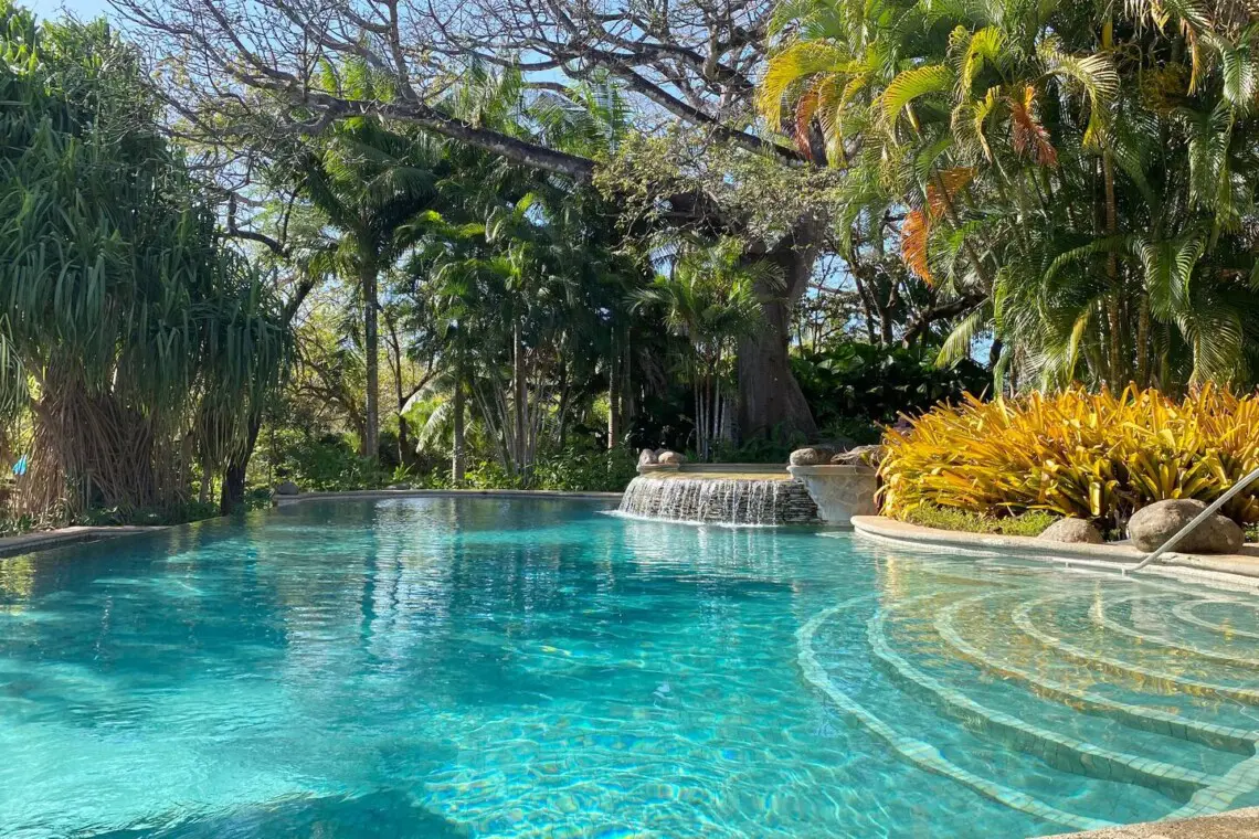 9a9fadb4 cbee 486c bd70 ae40cd534f3e.jpg