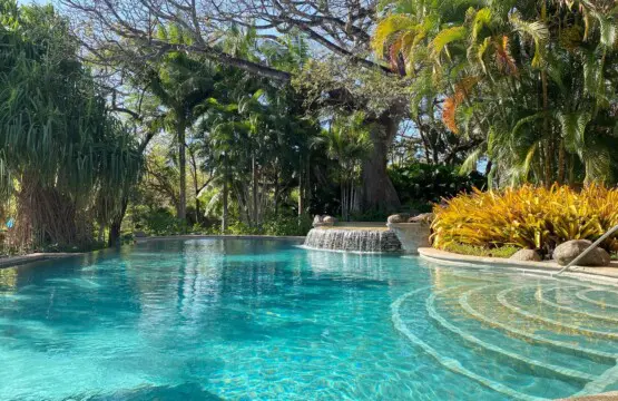 9a9fadb4 cbee 486c bd70 ae40cd534f3e.jpg