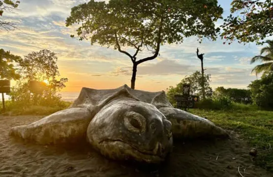 a4c6b7eb fe5f 4e51 bd77 e0b490b56e94.jpg