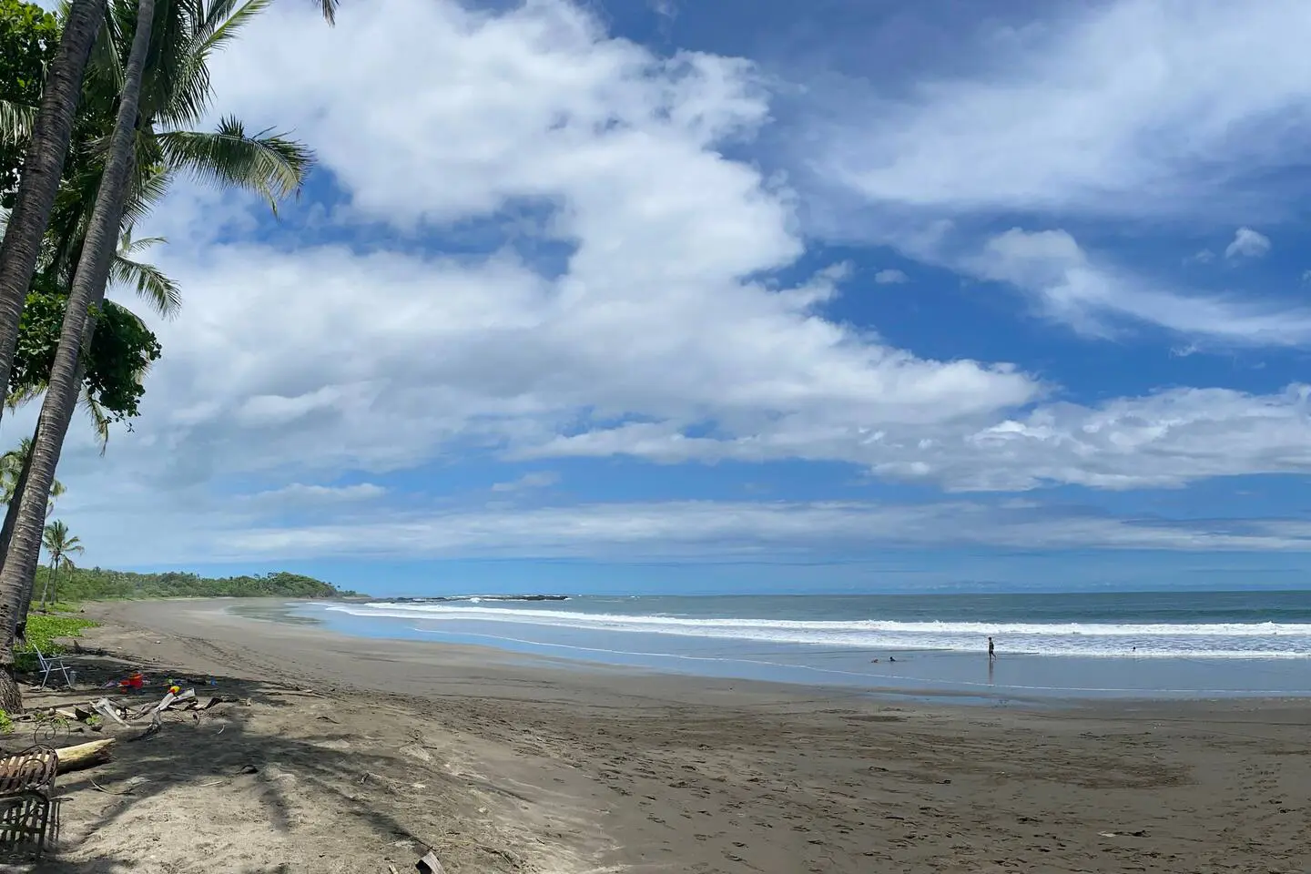 a79df5df f6b0 45a4 8772 21038430332e.jpg