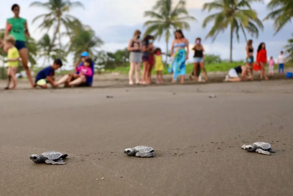 ab750908 6754 40c3 9d1b bf0e54bb3b9a.jpg