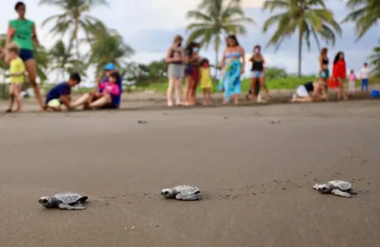 ab750908 6754 40c3 9d1b bf0e54bb3b9a.jpg