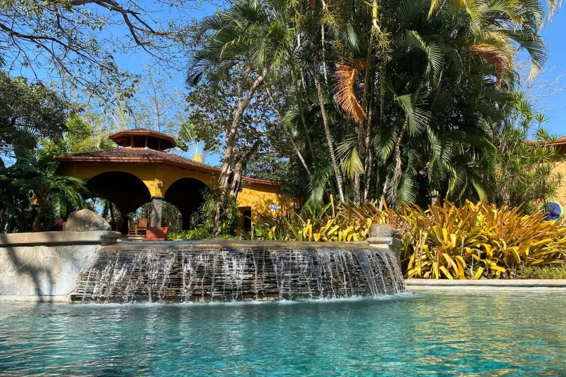 b933686a 6a4d 45cb 94e9 b2c907989adb.jpg