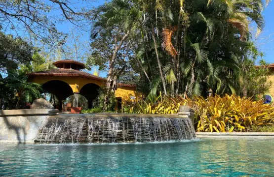 b933686a 6a4d 45cb 94e9 b2c907989adb.jpg