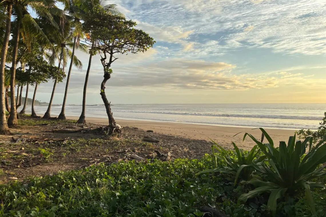 bfe8e0b8 b264 4df5 9f62 824beb61348c.jpg