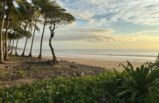 bfe8e0b8 b264 4df5 9f62 824beb61348c.jpg