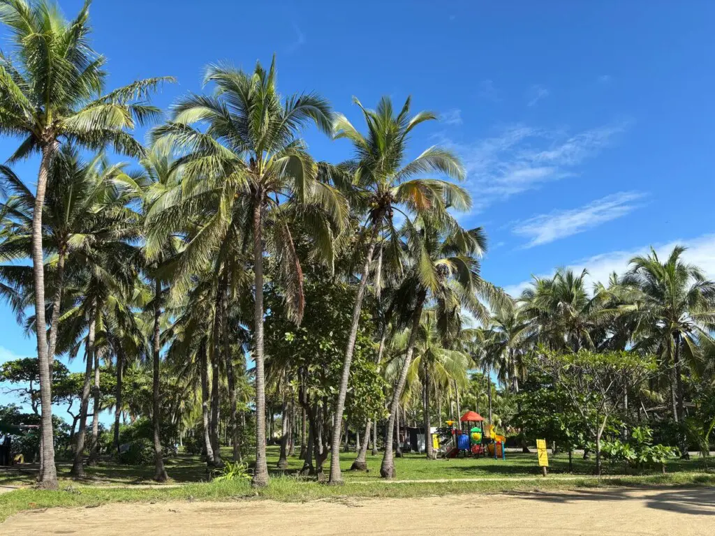 ead2cf23 704b 44a2 9a9b 1ccabd6ea003.jpg