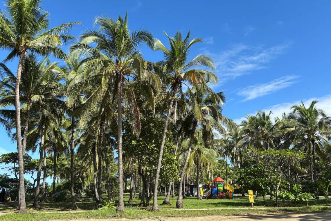 ead2cf23 704b 44a2 9a9b 1ccabd6ea003.jpg