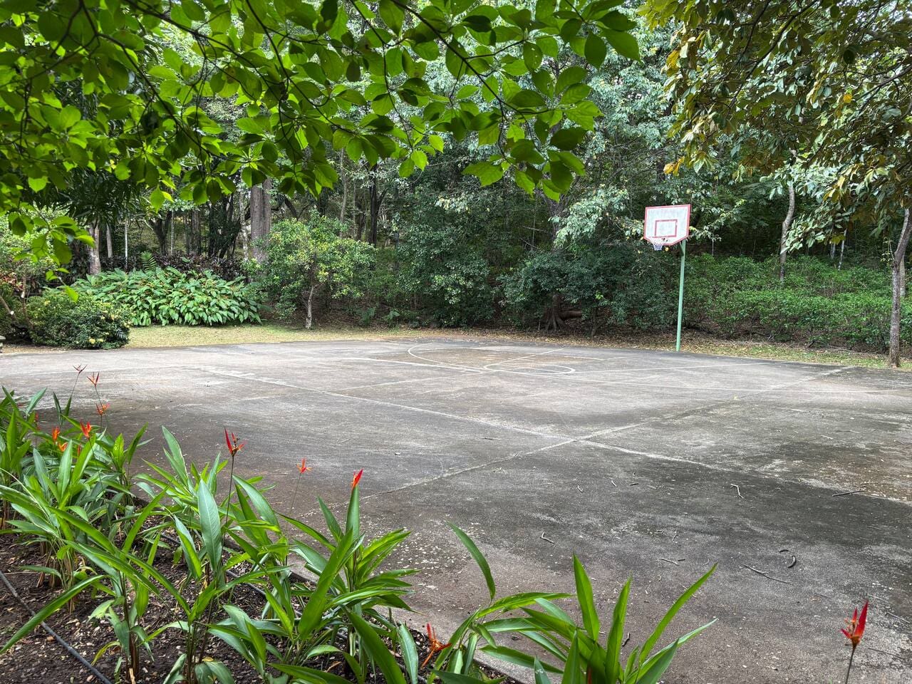 860c2c2d 624f 4f25 9e9d c7d567b2863d.jpg