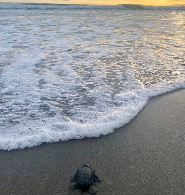 Best beaches near La Junglita - Guanacaste Pacific Coast