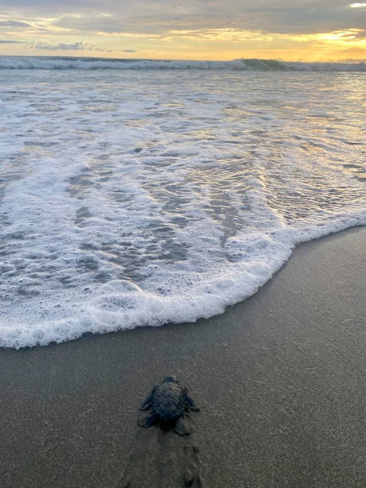 Best beaches near La Junglita - Guanacaste Pacific Coast