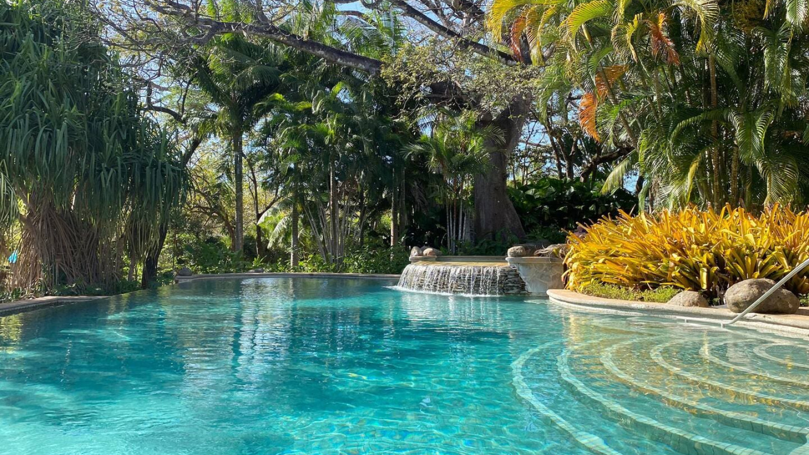 9a9fadb4 cbee 486c bd70 ae40cd534f3e.jpg