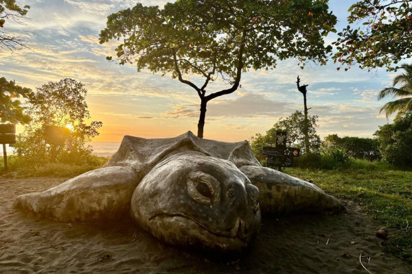 a4c6b7eb fe5f 4e51 bd77 e0b490b56e94.jpg